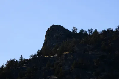 DSC_3037 (Large).JPG